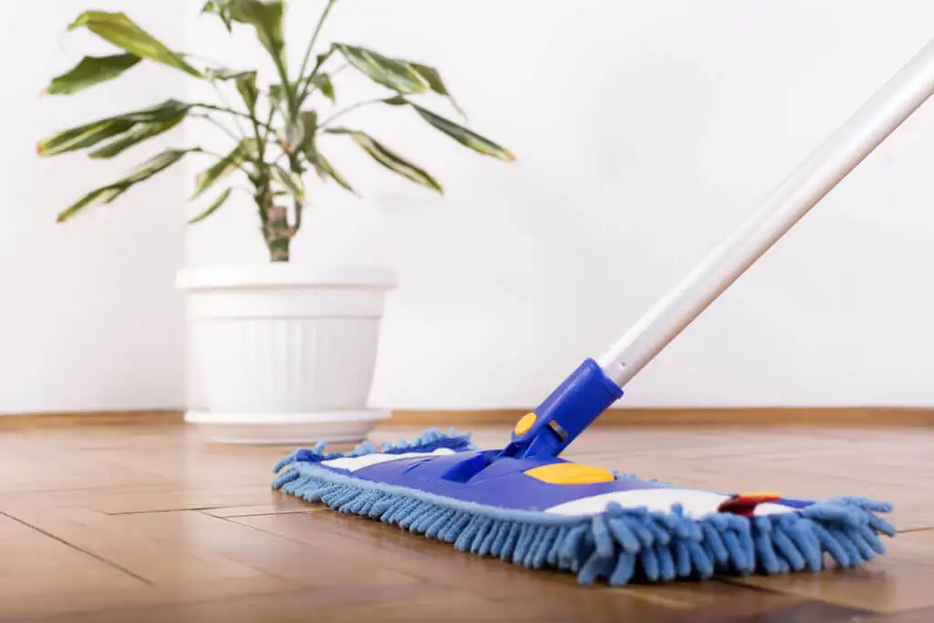Taking Good Care Of Your House Base: Tile Adhesives and Tile Cleaners!